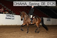 ohaha_spring_08_0125 proof