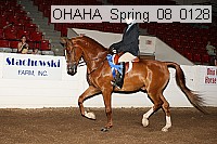 ohaha_spring_08_0128 proof