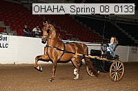 ohaha_spring_08_0133 proof