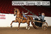 ohaha_spring_08_0134 proof