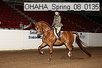 ohaha_spring_08_0135 proof