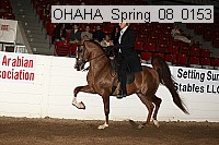 ohaha_spring_08_0153 proof