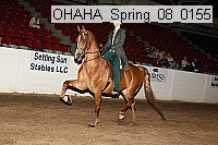 ohaha_spring_08_0155 proof