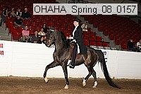 ohaha_spring_08_0157 proof
