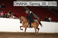 ohaha_spring_08_0159 proof