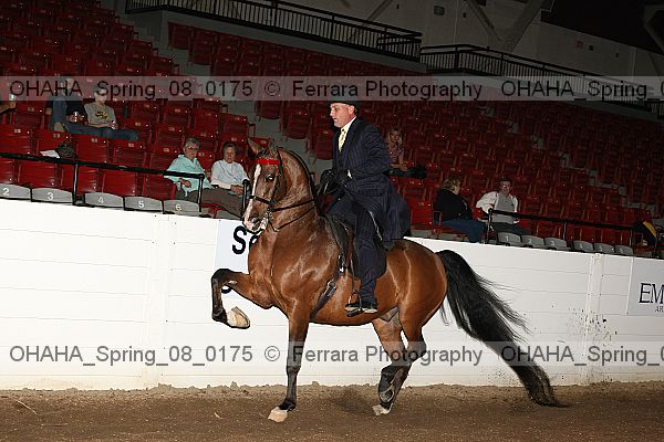 Proof ohaha_spring_08_0175