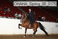 ohaha_spring_08_0175 proof