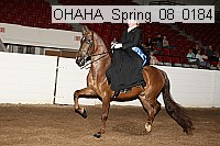 ohaha_spring_08_0184 proof