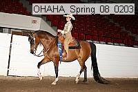 ohaha_spring_08_0203 proof