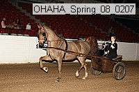 ohaha_spring_08_0207 proof