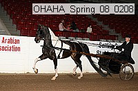 ohaha_spring_08_0208 proof
