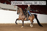 ohaha_spring_08_0217 proof