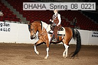 ohaha_spring_08_0221 proof