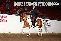 ohaha_spring_08_0225 proof