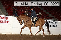 ohaha_spring_08_0229 proof