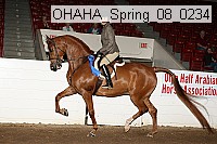 ohaha_spring_08_0234 proof