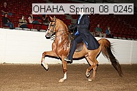 ohaha_spring_08_0245 proof