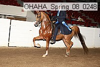ohaha_spring_08_0248 proof