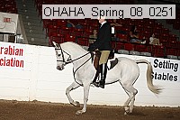 ohaha_spring_08_0251 proof