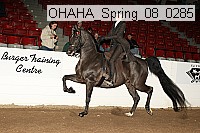 ohaha_spring_08_0285 proof