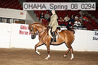 ohaha_spring_08_0294 proof