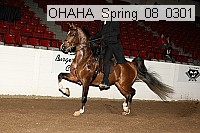 ohaha_spring_08_0301 proof