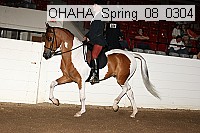 ohaha_spring_08_0304 proof