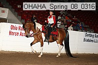 ohaha_spring_08_0316 proof