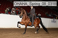 ohaha_spring_08_0318 proof
