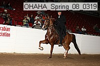 ohaha_spring_08_0319 proof
