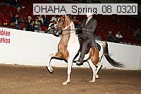 ohaha_spring_08_0320 proof
