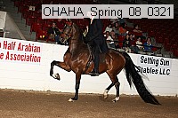 ohaha_spring_08_0321 proof