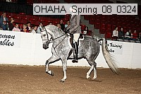 ohaha_spring_08_0324 proof