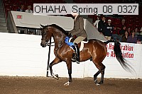 ohaha_spring_08_0327 proof