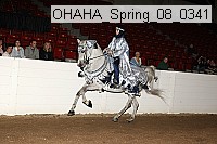 ohaha_spring_08_0341 proof