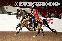 ohaha_spring_08_0343 proof
