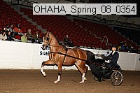 ohaha_spring_08_0354 proof
