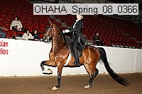 ohaha_spring_08_0366 proof
