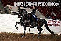 ohaha_spring_08_0372 proof