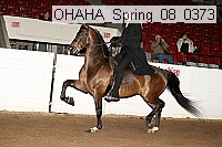 ohaha_spring_08_0373 proof