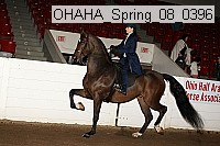 ohaha_spring_08_0396 proof