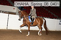 ohaha_spring_08_0401 proof