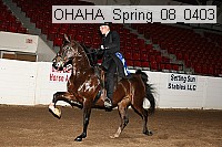ohaha_spring_08_0403 proof