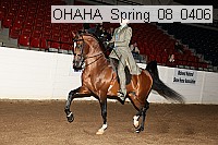 ohaha_spring_08_0406 proof