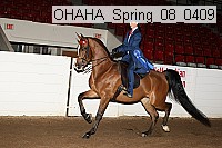 ohaha_spring_08_0409 proof