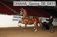 ohaha_spring_08_0411 proof