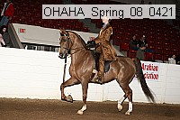 ohaha_spring_08_0421 proof
