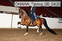 ohaha_spring_08_0428 proof
