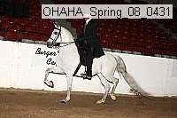 ohaha_spring_08_0431 proof