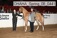 ohaha_spring_08_0441 proof